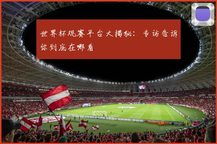 世界杯观赛平台大揭秘：专访告诉你到底在哪看