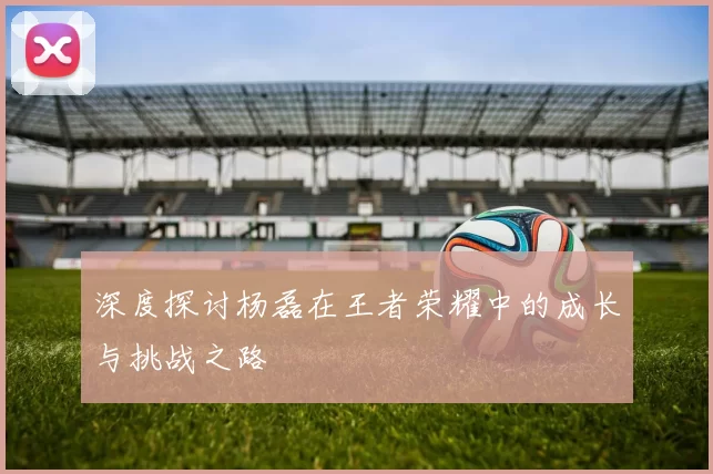 深度探讨杨磊在王者荣耀中的成长与挑战之路