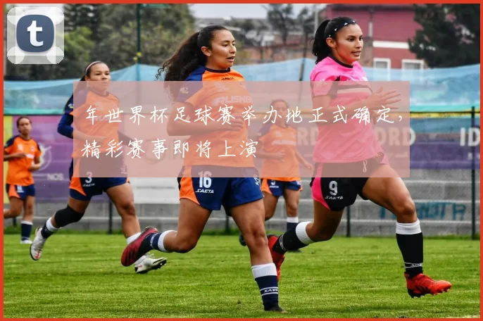 年世界杯足球赛举办地正式确定,精彩赛事即将上演