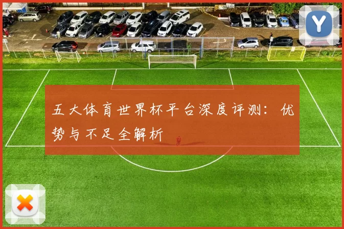 五大体育世界杯平台深度评测:优势与不足全解析