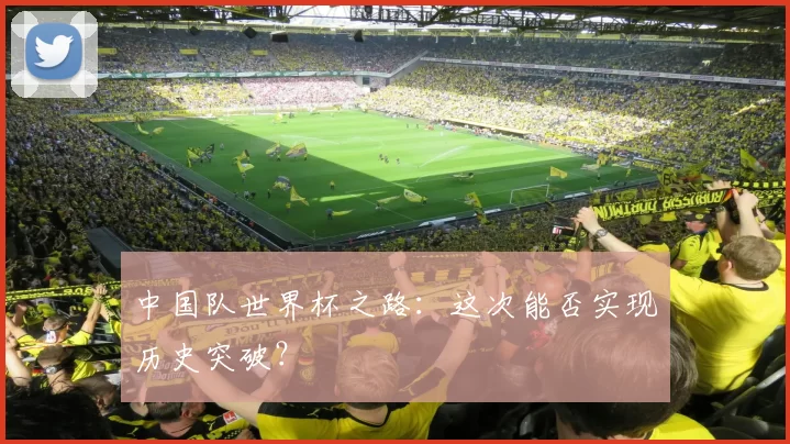 中国队世界杯之路：这次能否实现历史突破？