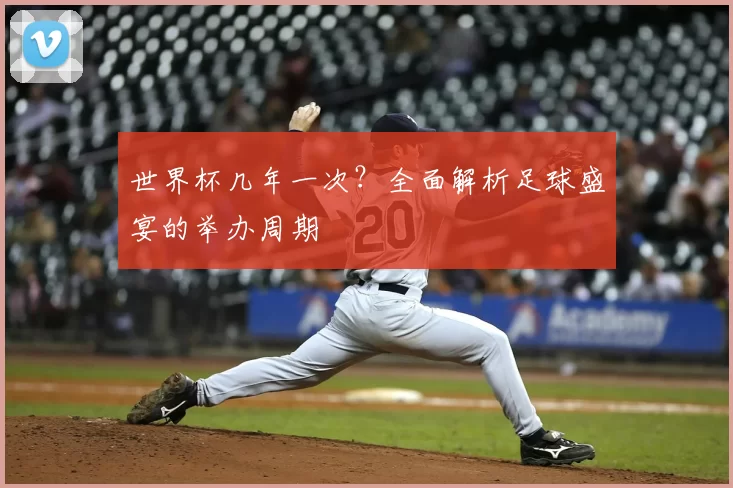世界杯几年一次？全面解析足球盛宴的举办周期