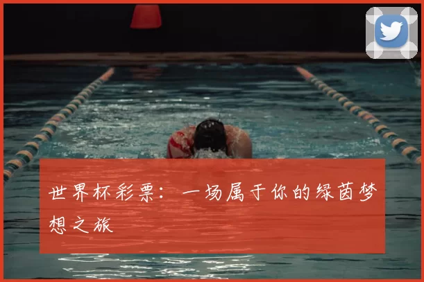 世界杯彩票：一场属于你的绿茵梦想之旅
