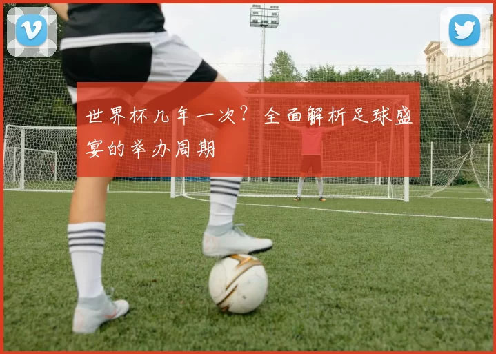 世界杯几年一次？全面解析足球盛宴的举办周期