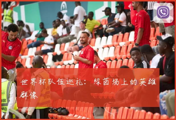 世界杯队伍巡礼:绿茵场上的英雄群像