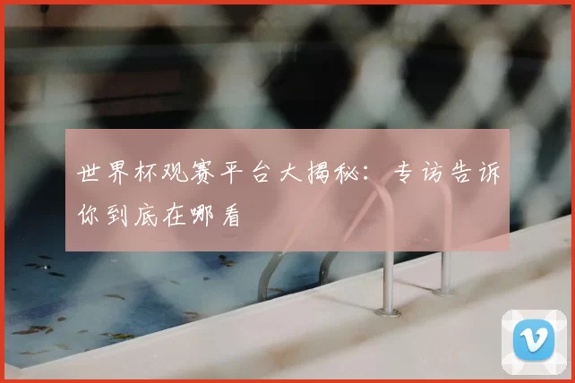 世界杯观赛平台大揭秘：专访告诉你到底在哪看