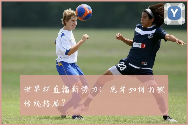 世界杯直播新势力:虎牙如何打破传统格局?
