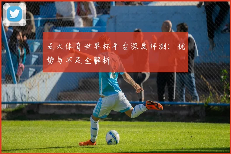 五大体育世界杯平台深度评测：优势与不足全解析