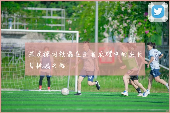 深度探讨杨磊在王者荣耀中的成长与挑战之路