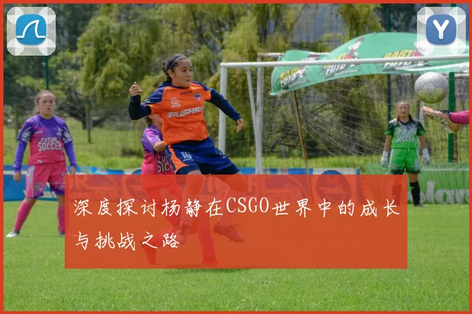 深度探讨杨静在CSGO世界中的成长与挑战之路
