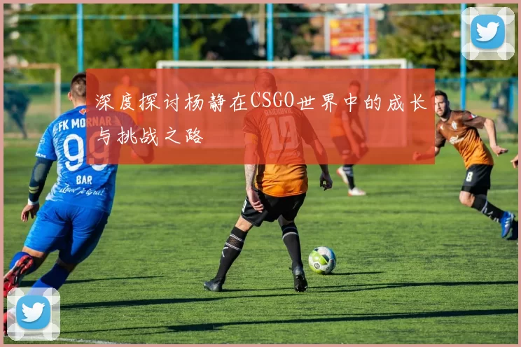 深度探讨杨静在CSGO世界中的成长与挑战之路